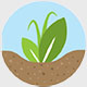 agr-icon3
