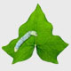 agr-icon8